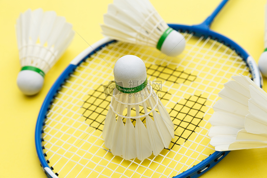 共同探讨全 共同探讨全