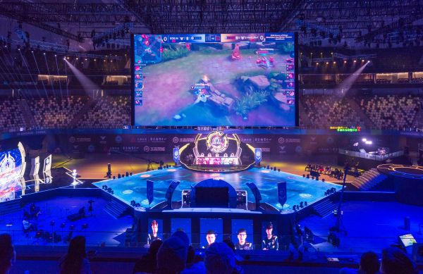 的鱼作为谢 的鱼作为谢