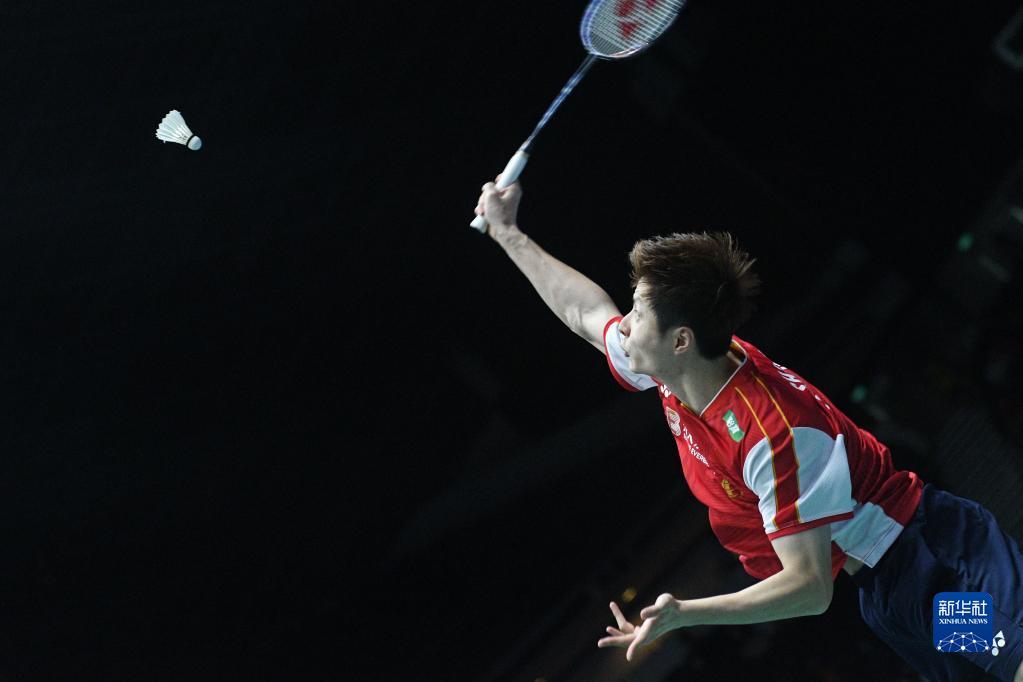 趋势与巴西 趋势与巴西